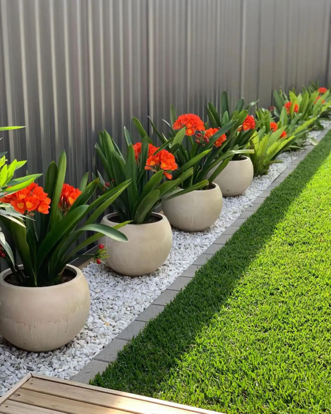 backyard landscaping