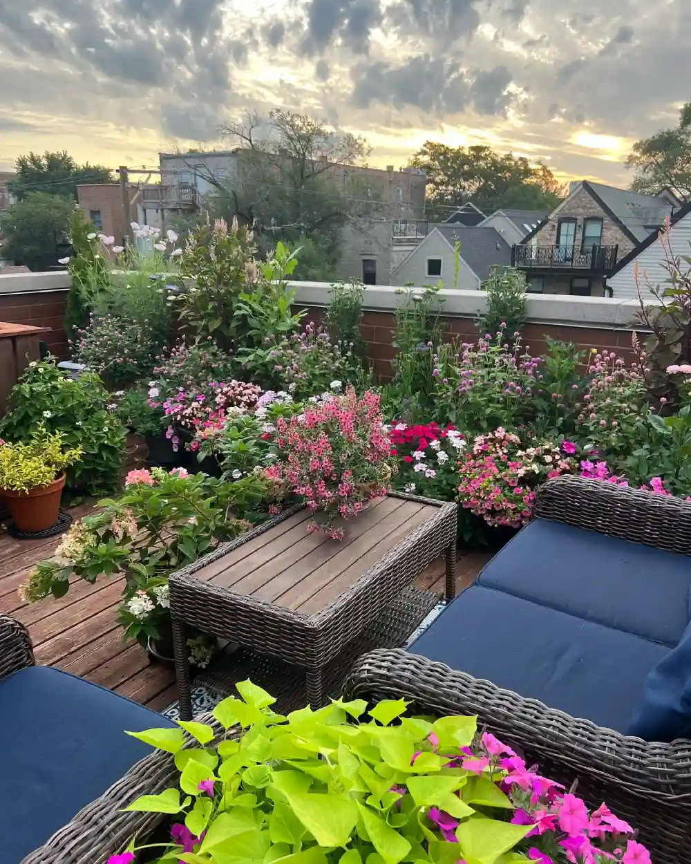 balcony garden