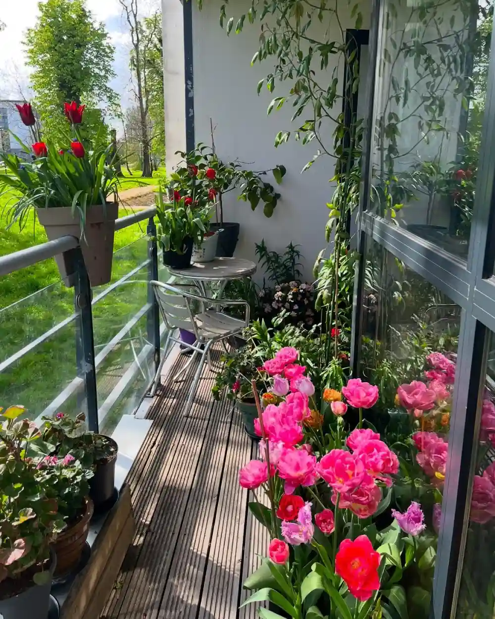 balcony garden
