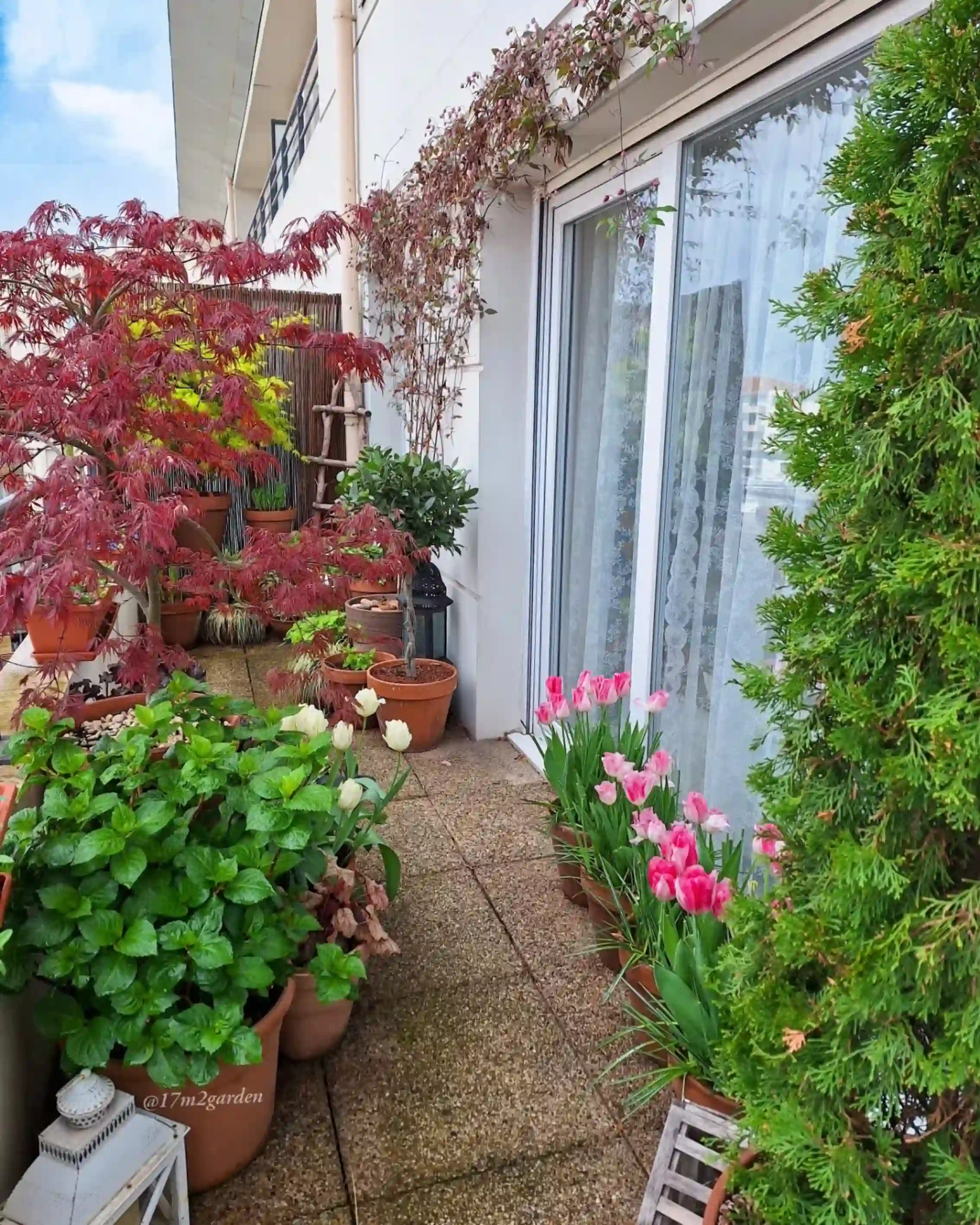 balcony garden