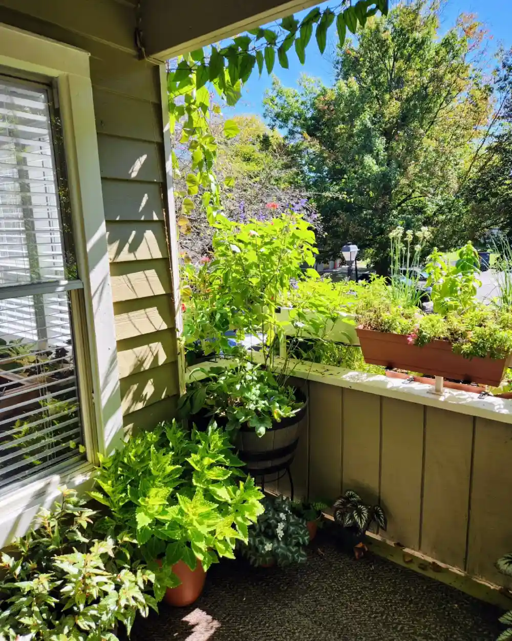 balcony garden