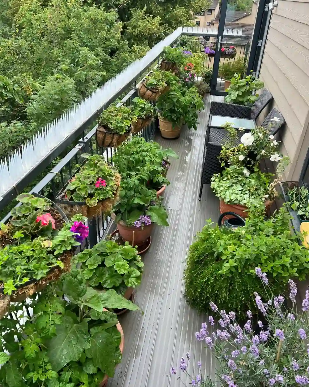 balcony garden