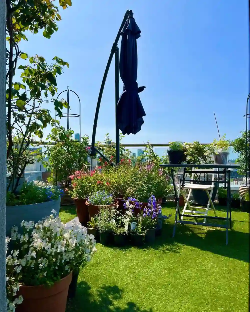 balcony garden