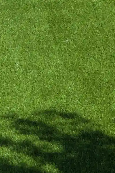 Disadvantages of Artificial Grass Every Homeowner Should Know Before Installing