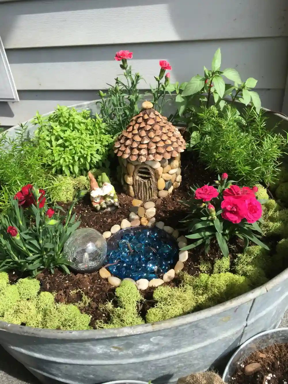 fairy garden ideas