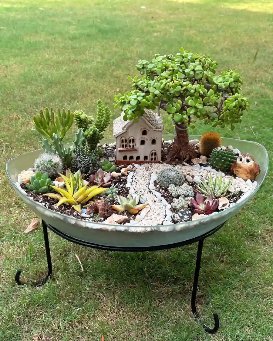 fairy garden ideas
