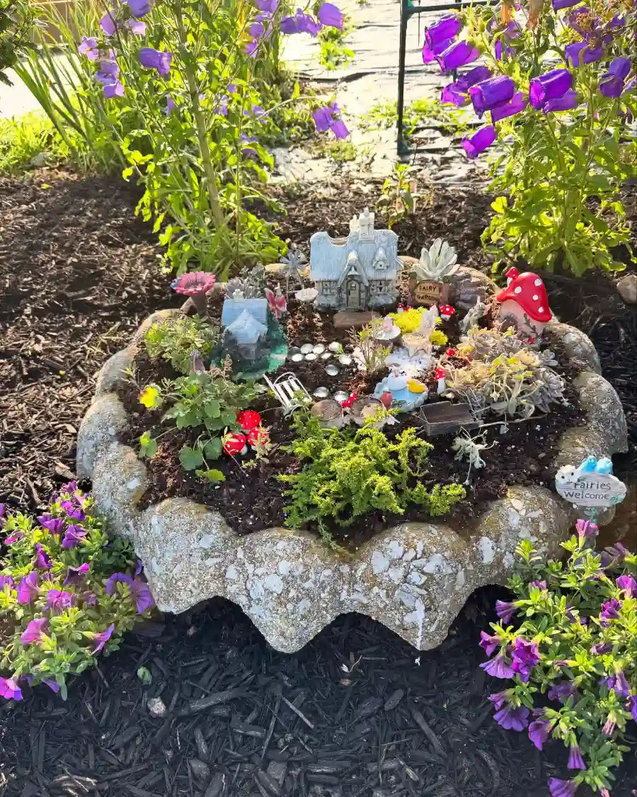 fairy garden ideas