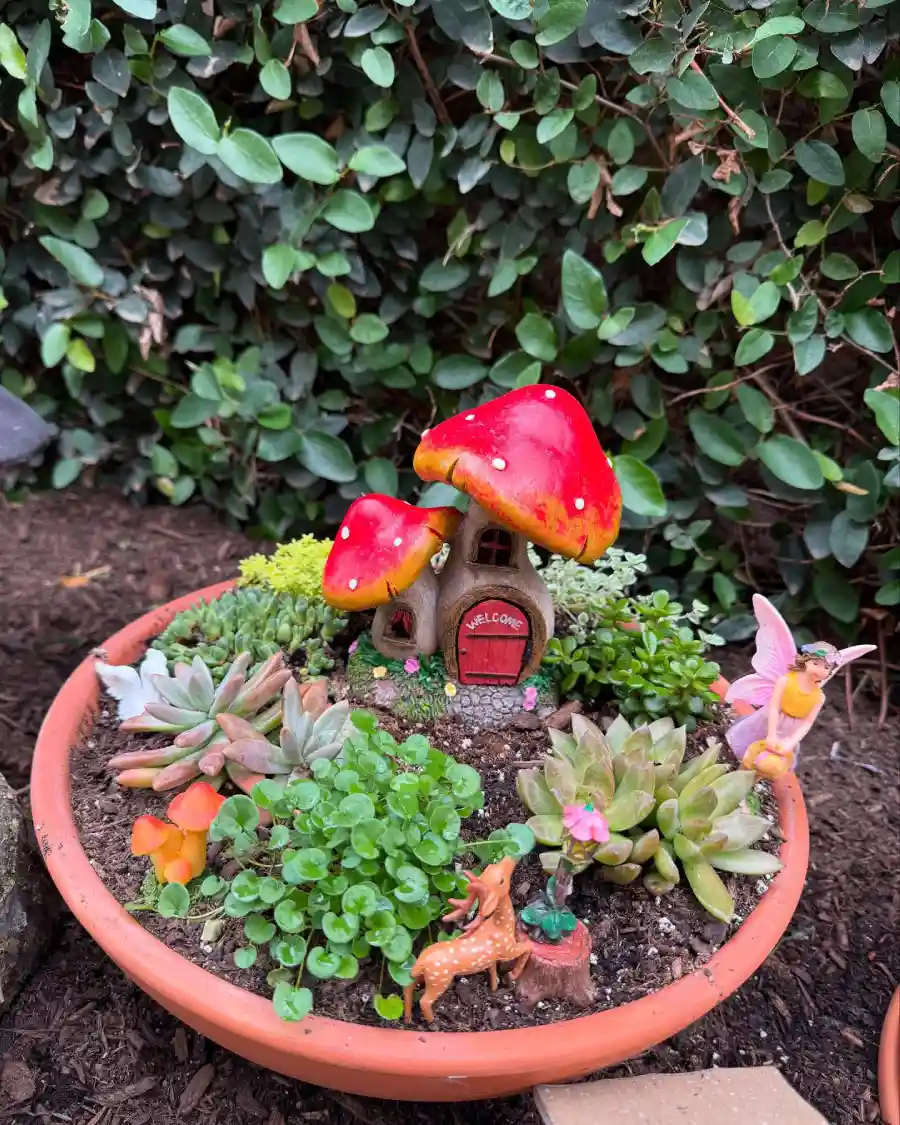 fairy garden ideas