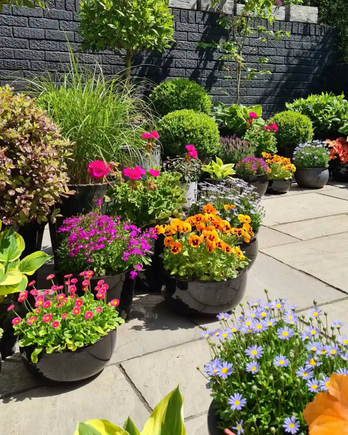garden design ideas
