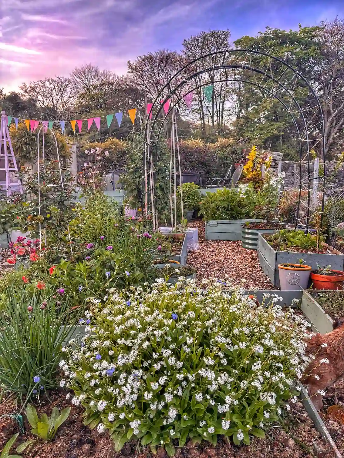garden design ideas