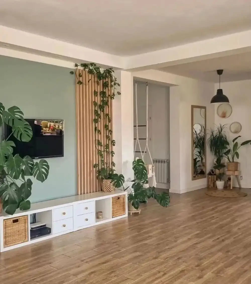 living room decor