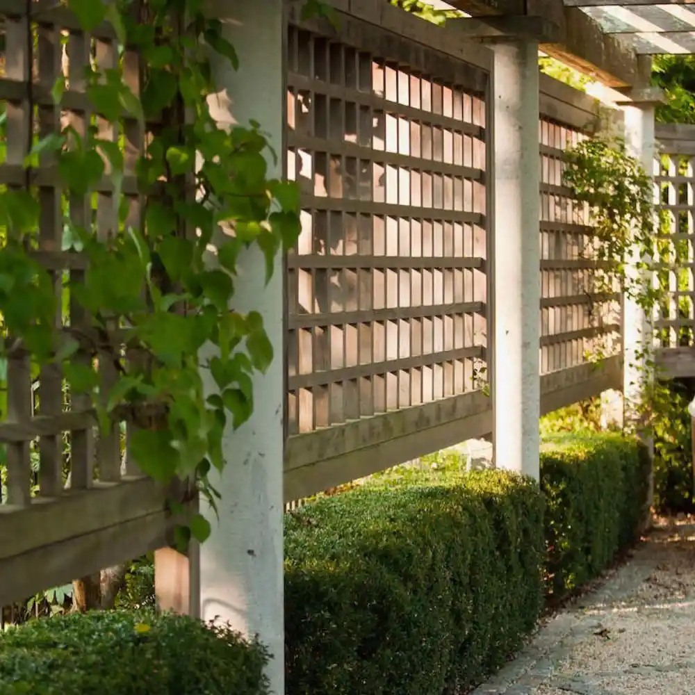 privacy fence ideas
