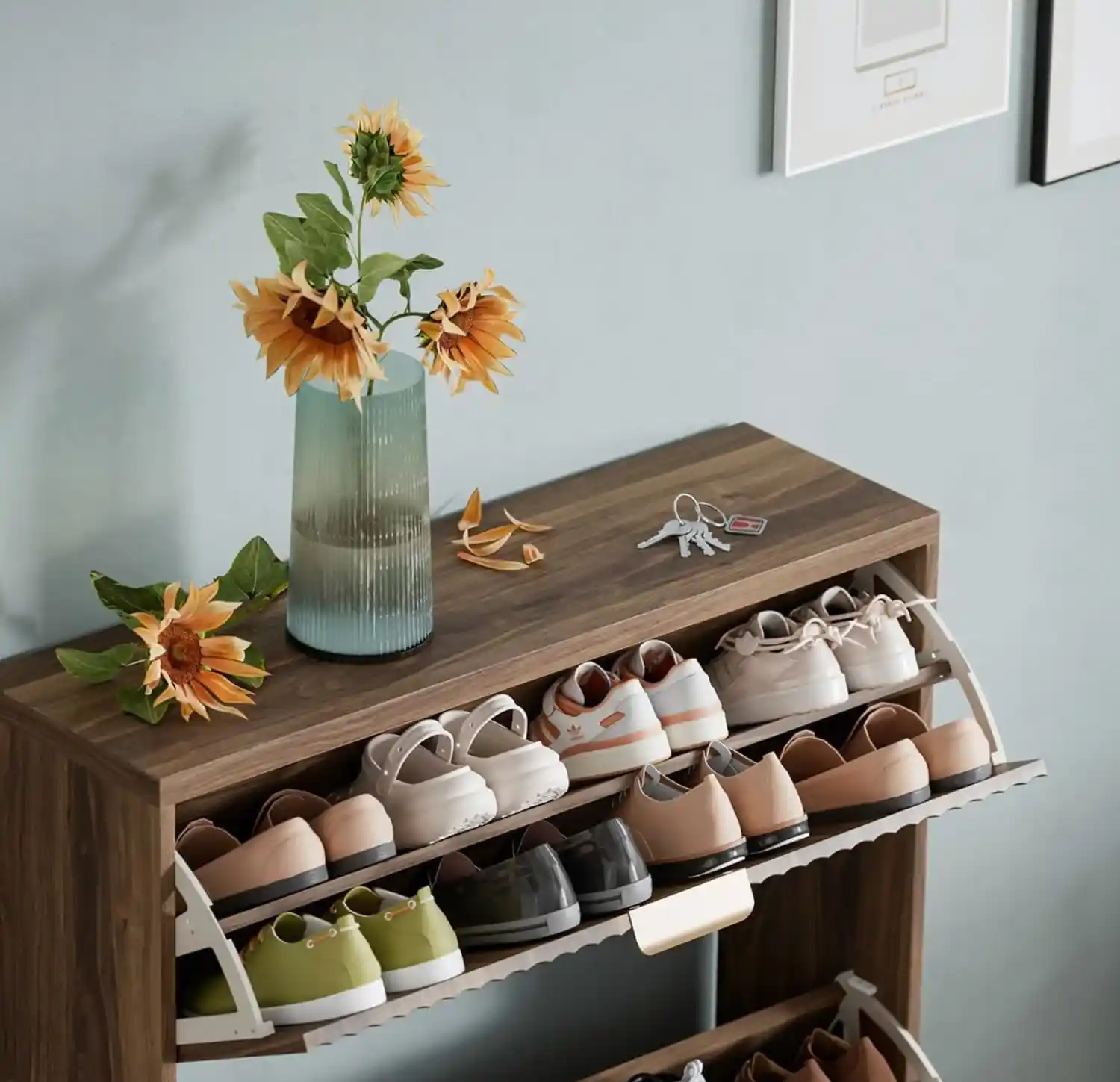 shoe rack