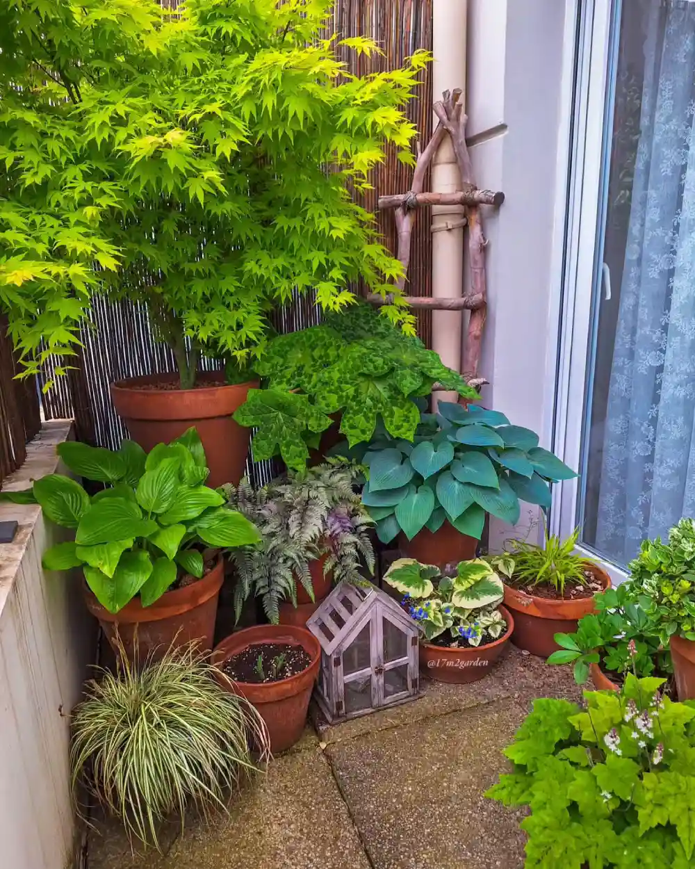 small garden ideas