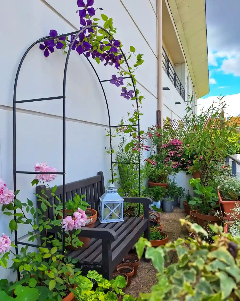 small garden ideas