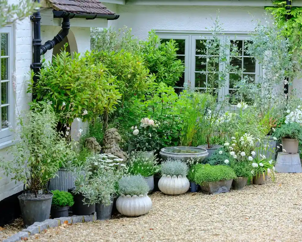 small garden ideas