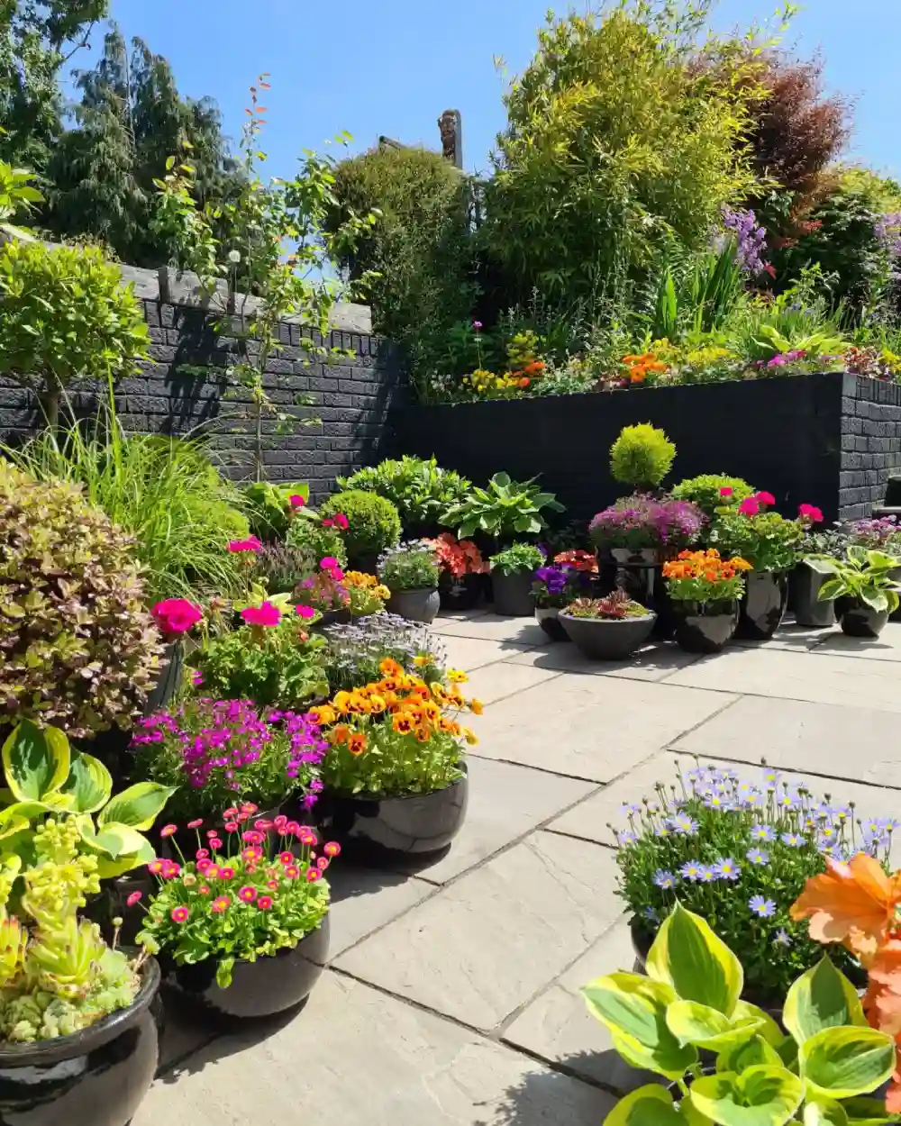 small garden ideas